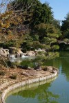 Japanese Friendship Garden Lake - Phoenix, AZ