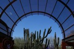 Phoenix Desert Botanical Gardens - Succulent Pavilion