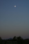 Moon setting to the West - Rio Salado Habitat Resoration Area - Phoenix
