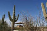 Casa Grande Ruins - Arizona