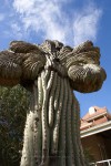 Old Main - University of Arizona - Tucson, AZ