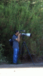 That is a telephoto lens - no a telescope.