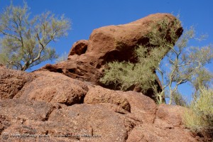 Photograph of Camelback Mountain Red Rocks