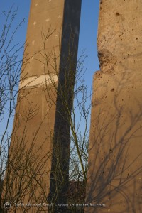 Photo of concrete column and desert vegetation