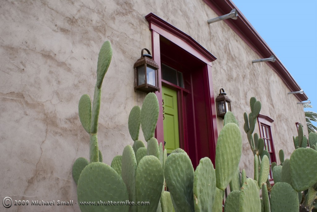 Photo of a classic Tucson adobe house and prickly pear cactus