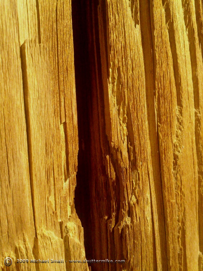 Photograph of a telephone pole detail