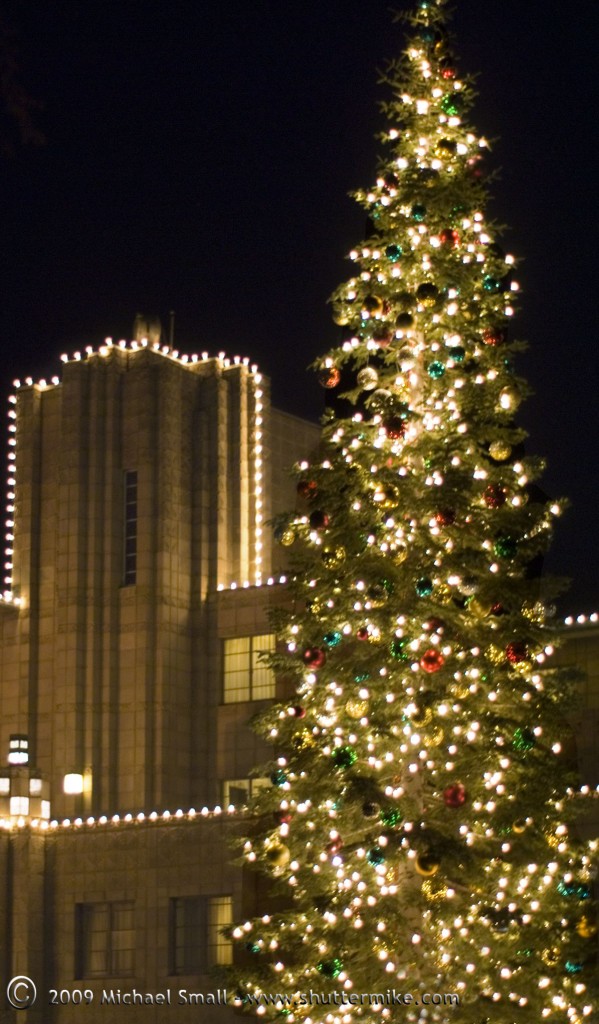 Photo of Christmas Tree at Arizona Biltmore Hotel