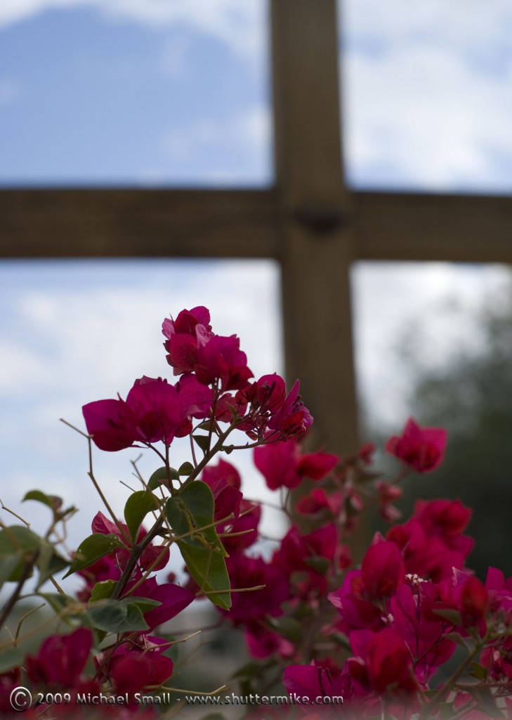 Photo of bouganvilla and a cross in Tucson, AZ
