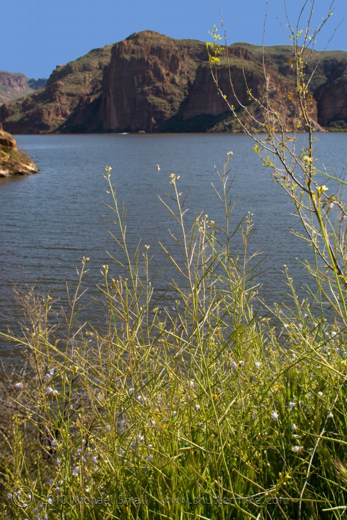 Photo of Apache Lake Arizona