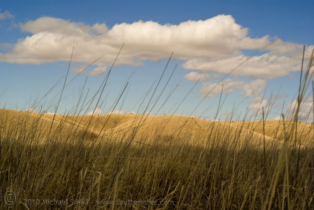 Photo of Arizona grasslands