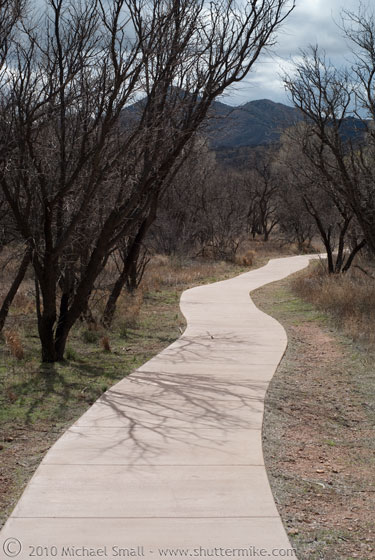 Photo of a path into the Arivaca Cienga in Southern AZ