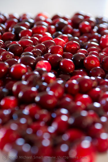Photo of whole cranberries