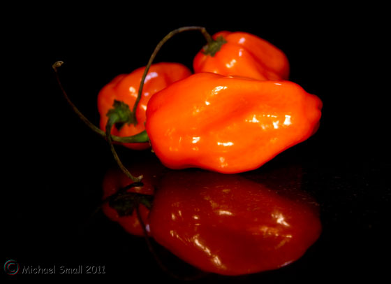 Photo of habanero peppers