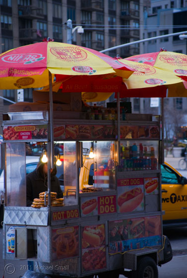 Photo of a hot dog vender in New York City