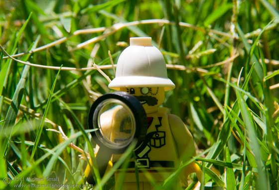 Photo of a Lego mini fig in the grass