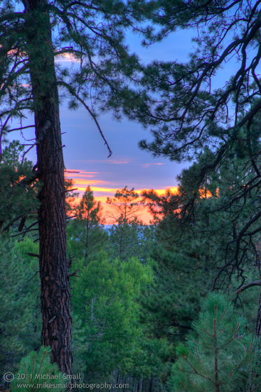 Photography of the sun setting in Flagstaff, AZ