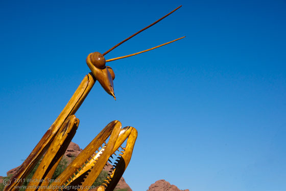 Photograph of a wooden praying mantis sculpture at the Botanical Garden in Phoenix