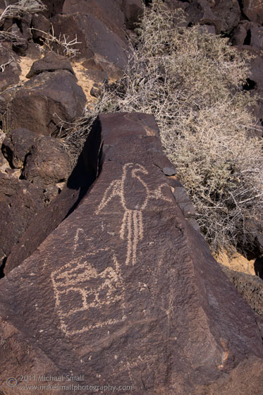 Photograph of Petroglyph National Monument in NM