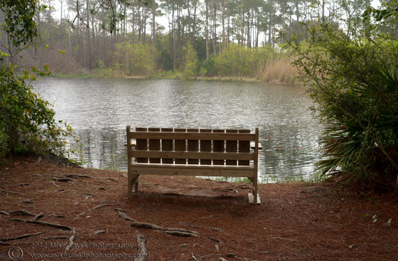 Photo of a bench with a view on Dauphin Island, AL